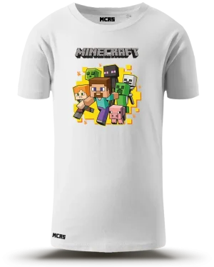 Minecraft Party