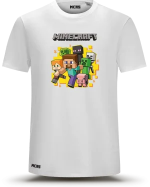 Minecraft Party