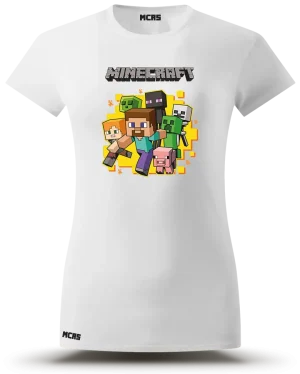 Minecraft Party